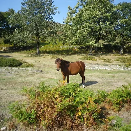 Casa De Dentro - Capitao Mor Farm stay *